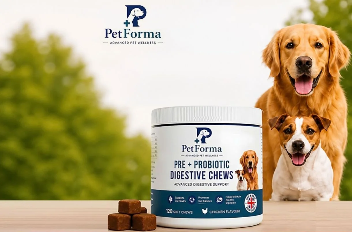 Die PetForma-Dose mit einem Golden Retriever und einem Jack Russell Terrier im Grünen